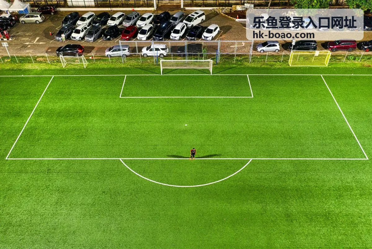乐鱼登录入口 登录前的准备要点