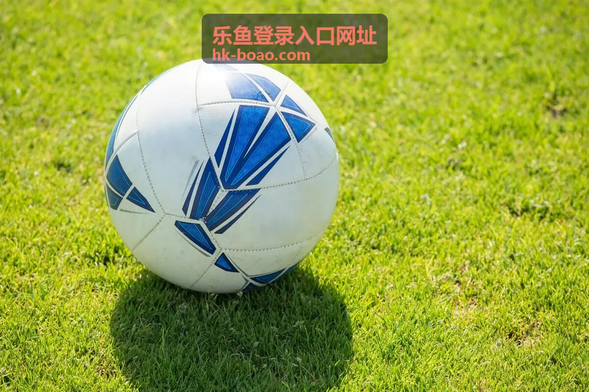 乐鱼登录入口 安全访问说明